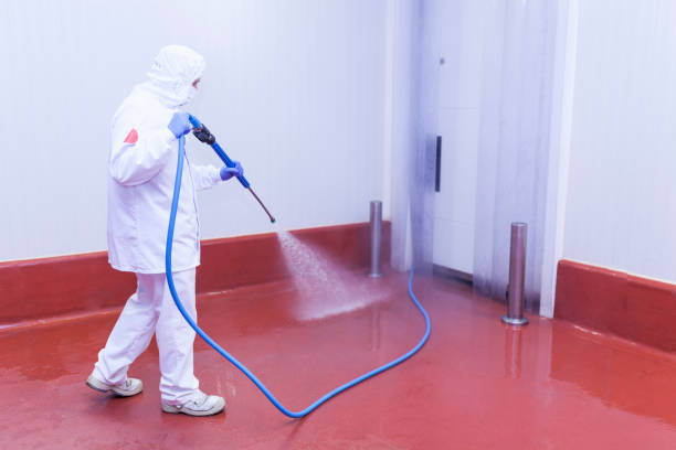 Trusted Montrose, NY Pressure Washing Services Experts